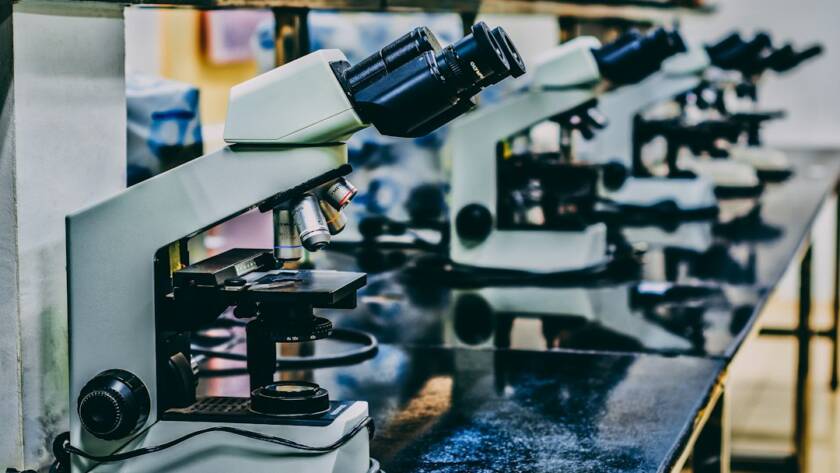 Microscope used in liposome absorption research