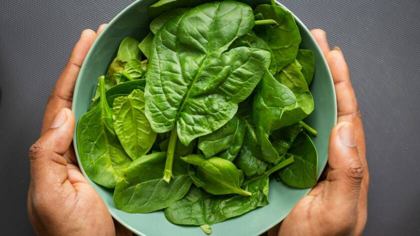 Spinach, a plant source of iron