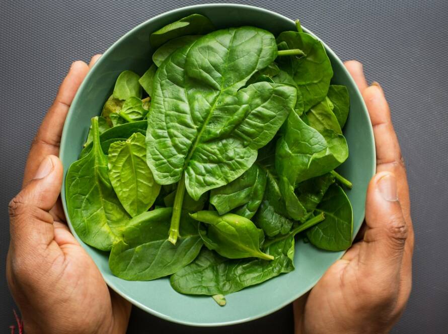 Spinach, a plant source of iron