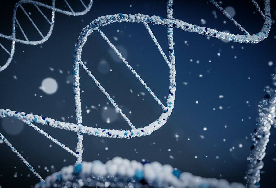 Molecular visualization representing NAD+ research