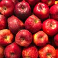 Liposomal Quercetin: Absorption, Food Sources and What the Evidence Shows