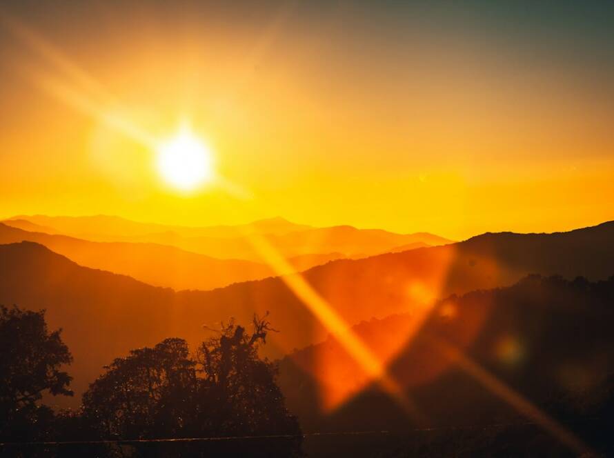 Morning sunlight, the natural source of vitamin D